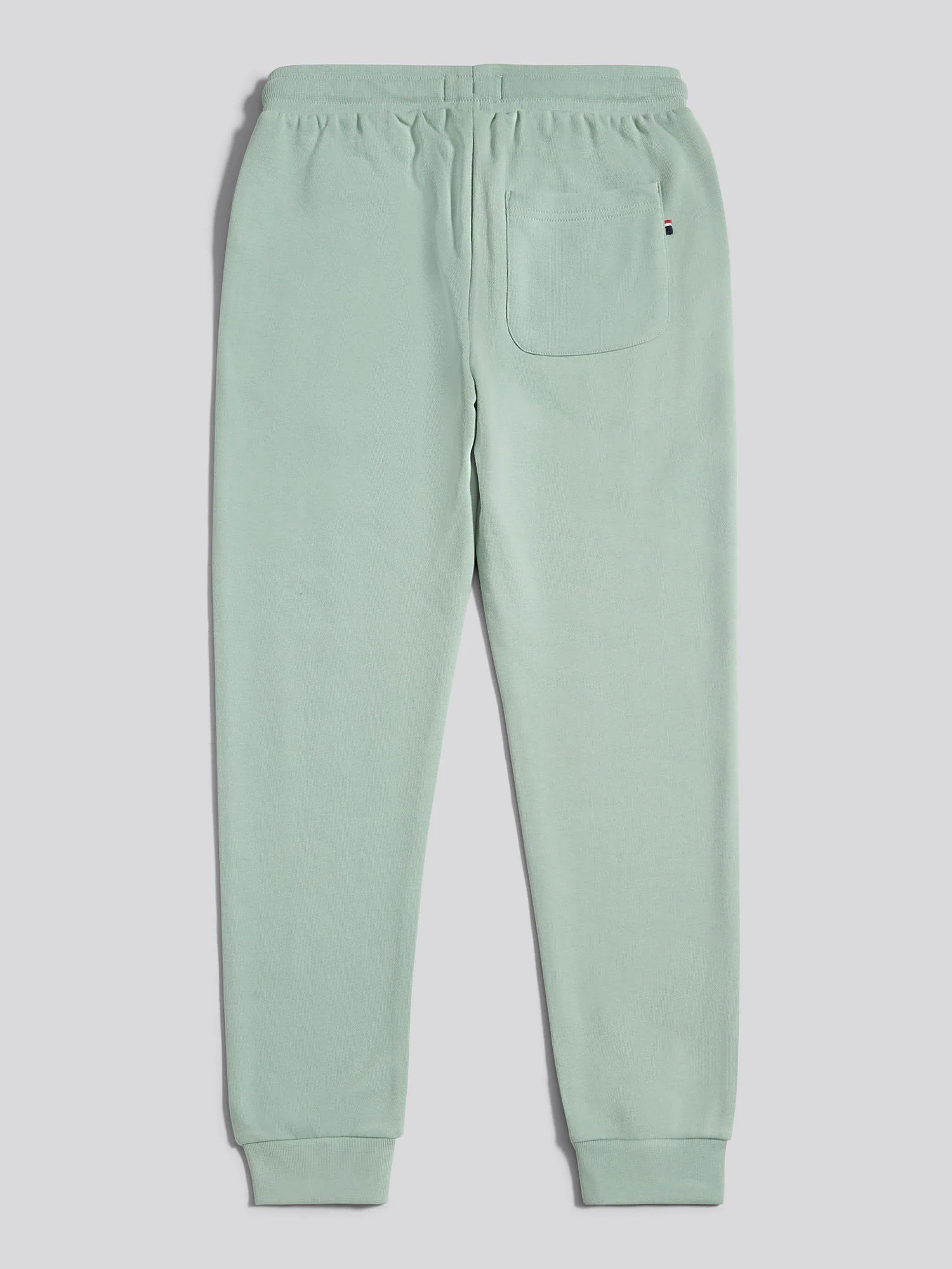 Boys Double Horsemen Loopback Jogger Iceberg Green - Image 6