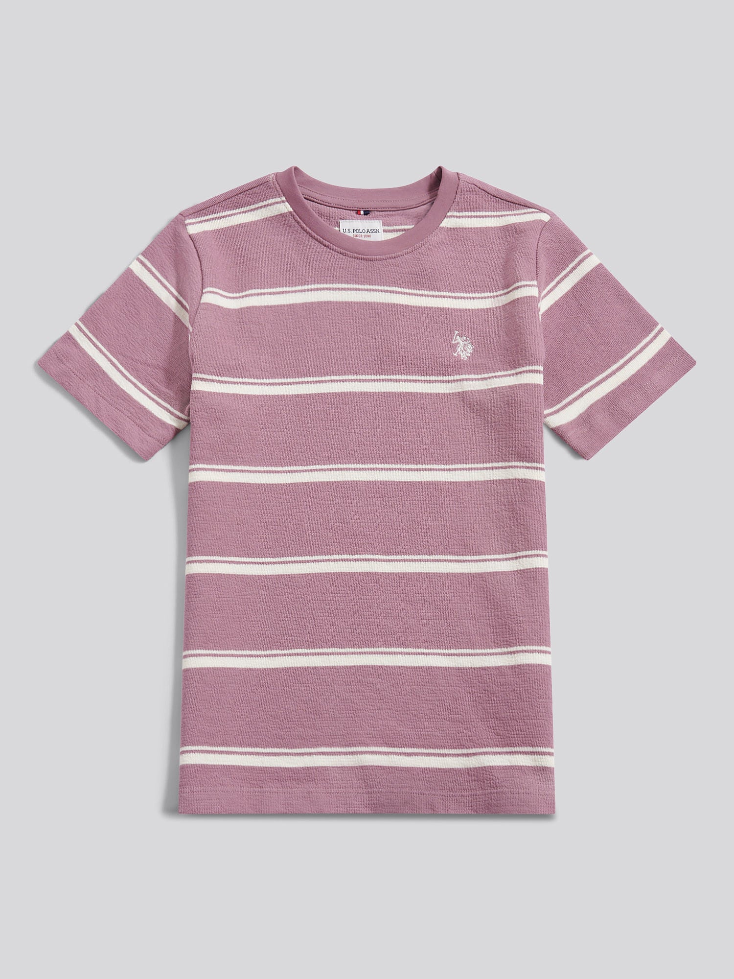 Boys Terry Stripe T-Shirt in Elderberry - Image 5