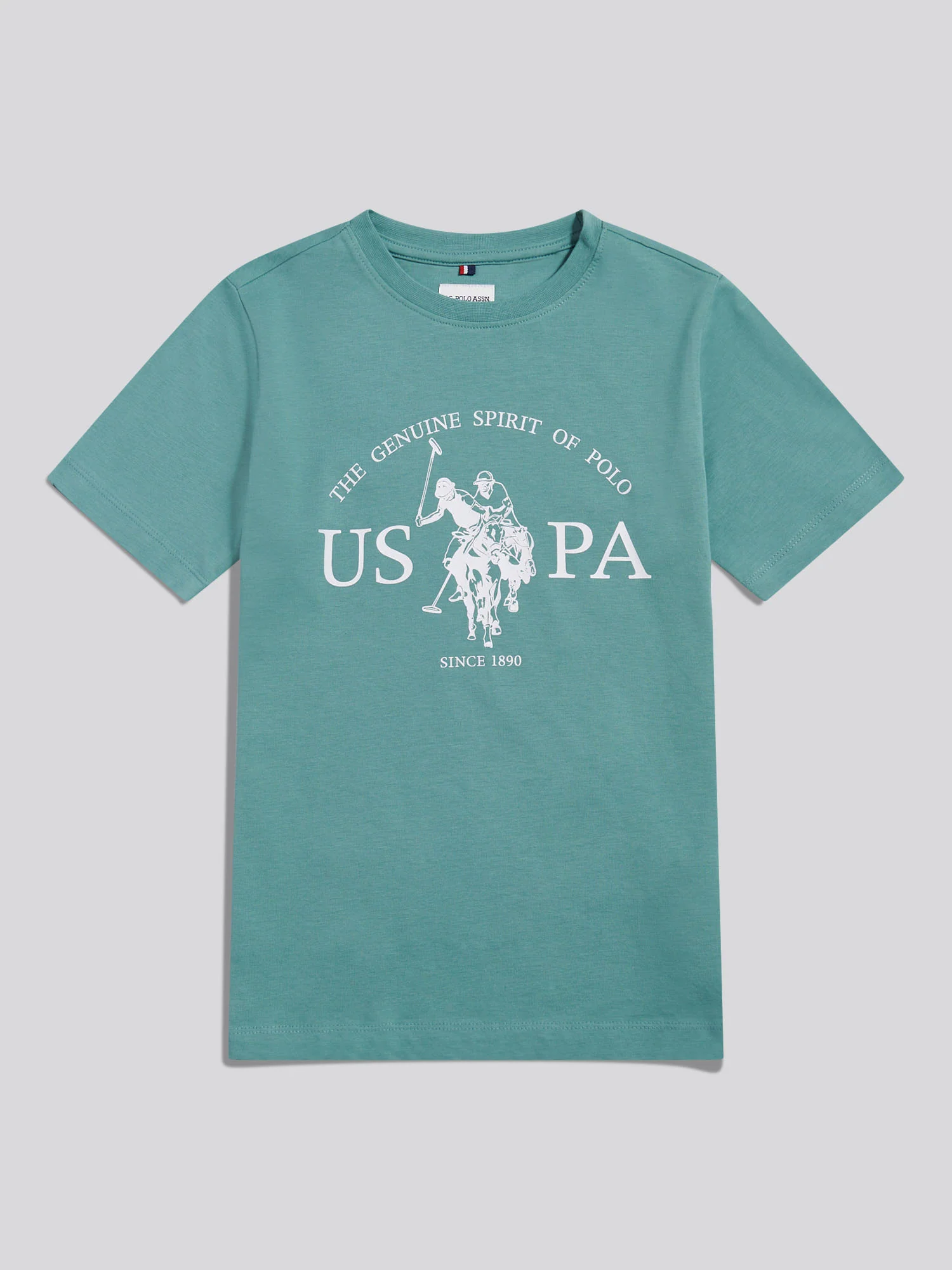 Boys USPA Print Graphic T-Shirt Arctic - Image 5