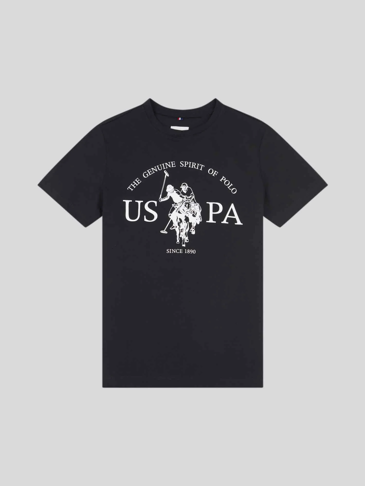 Boys USPA Print Graphic T-Shirt in Black - Image 5