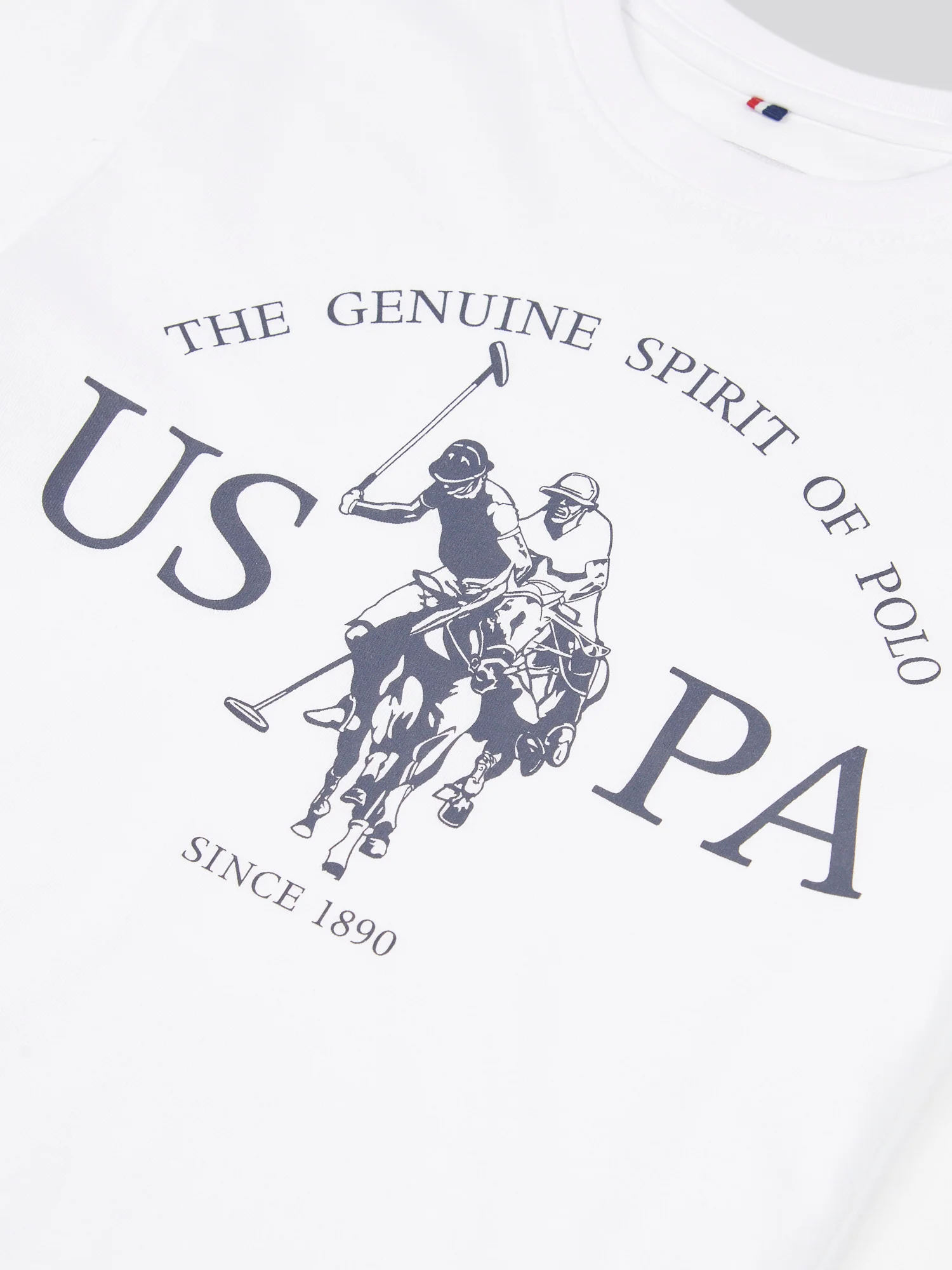 Boys USPA Print Graphic T-Shirt in Bright White - Image 7
