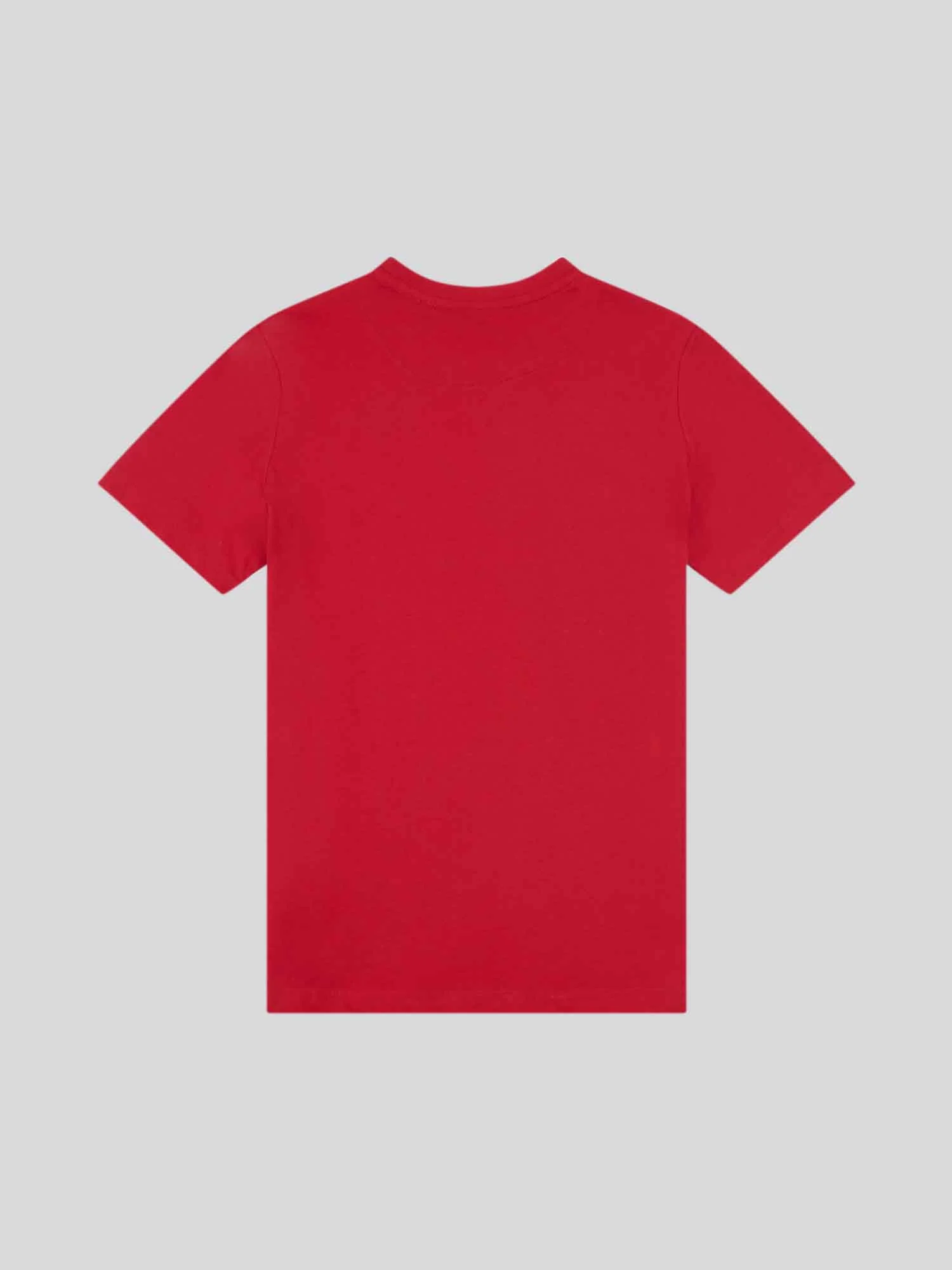 Boys USPA Print Graphic T-Shirt in Haute Red - Image 6