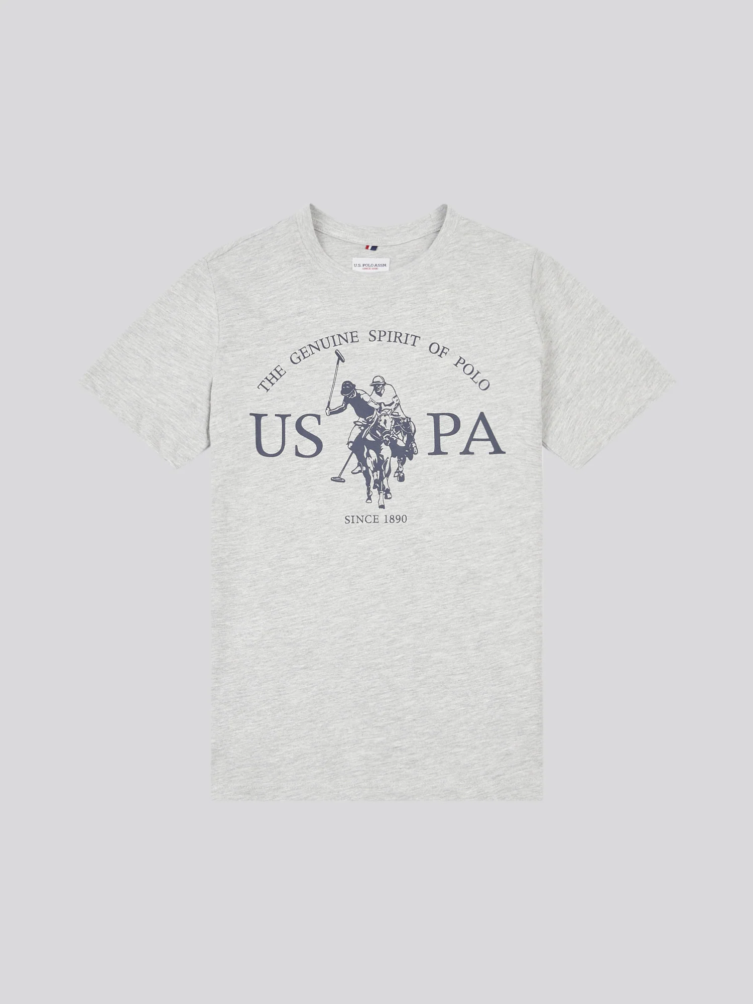 Boys USPA Print Graphic T-Shirt in Mid Grey Marl - Image 5