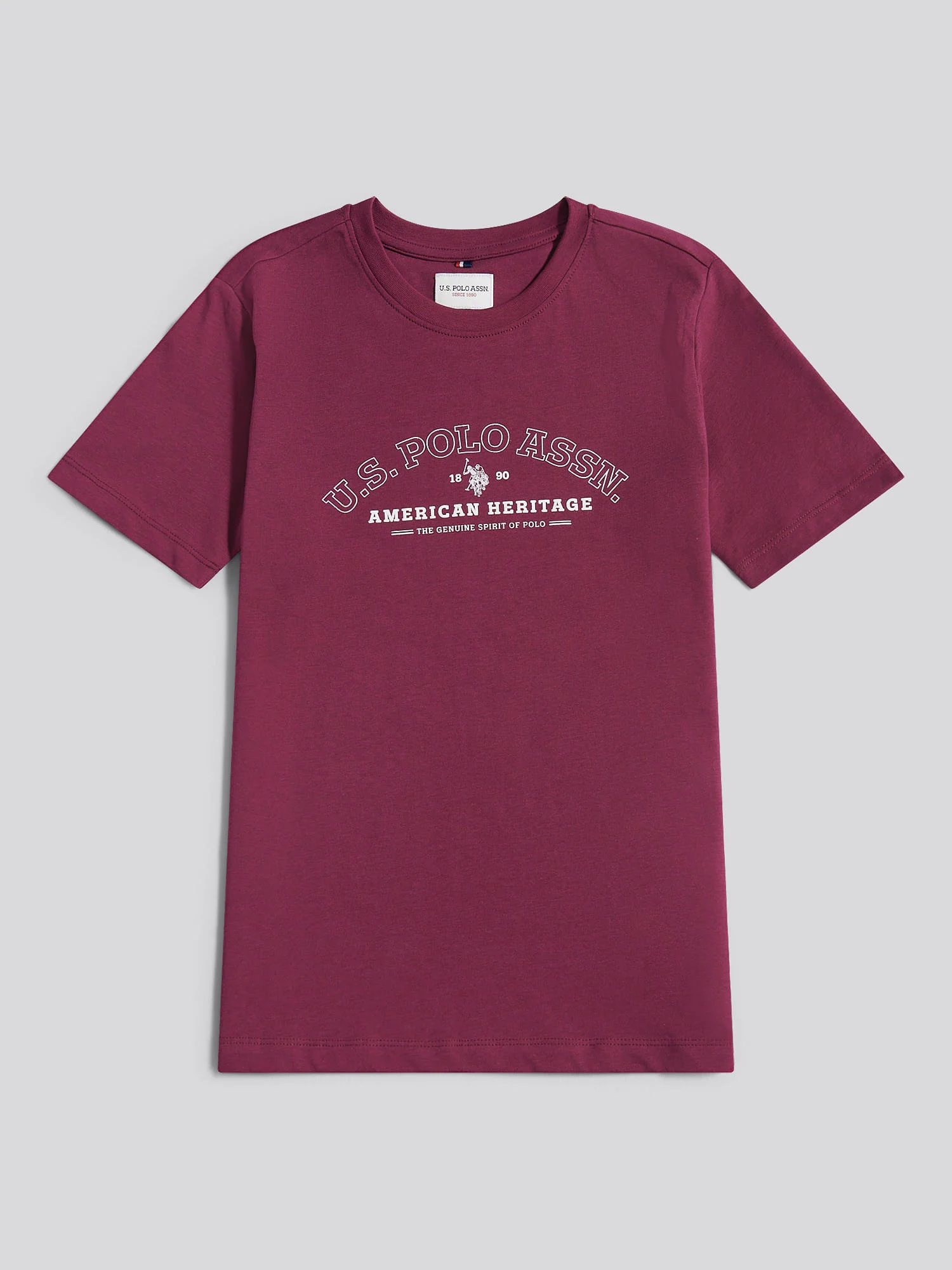 Boys Heritage Graphic Print T-Shirt in Grape Wine - Image 6