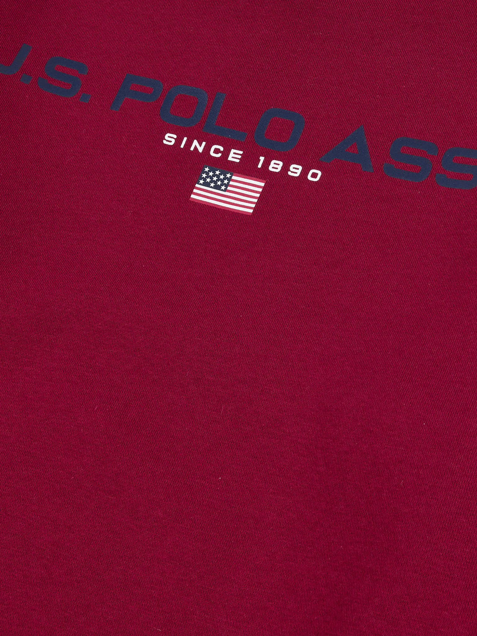 Mens Block Flag Graphic Crew Neck Sweatshirt in Biking Red - Image 5