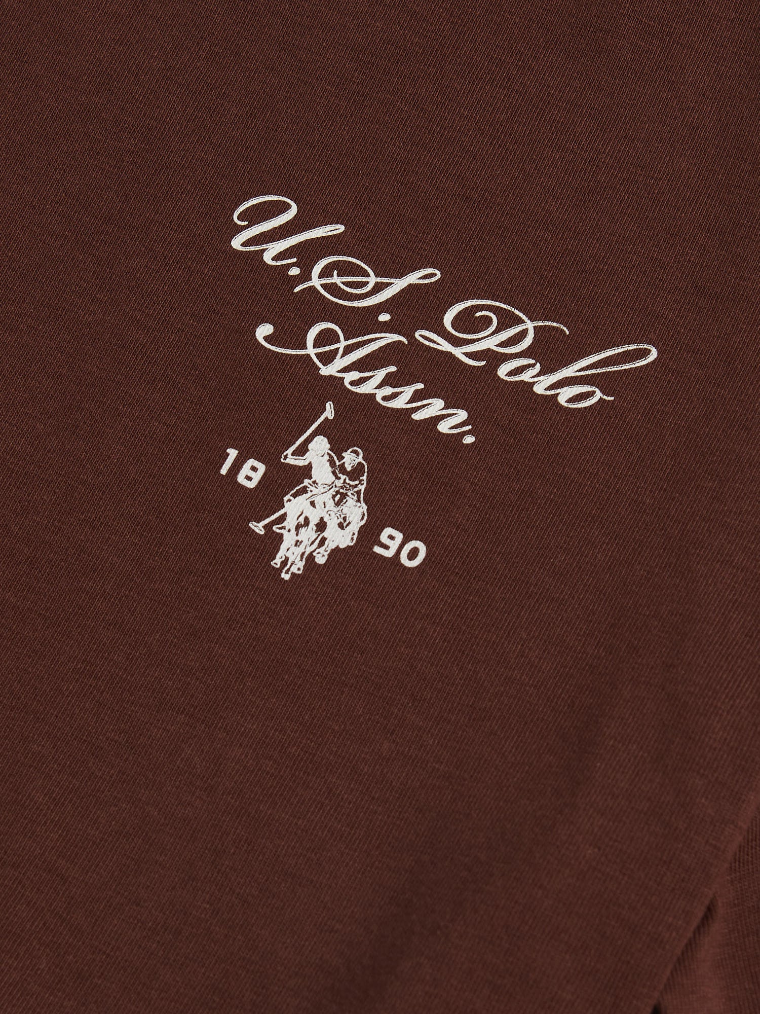 Mens Script Print Back Graphic T-Shirt in Chocolate Martini - Image 8