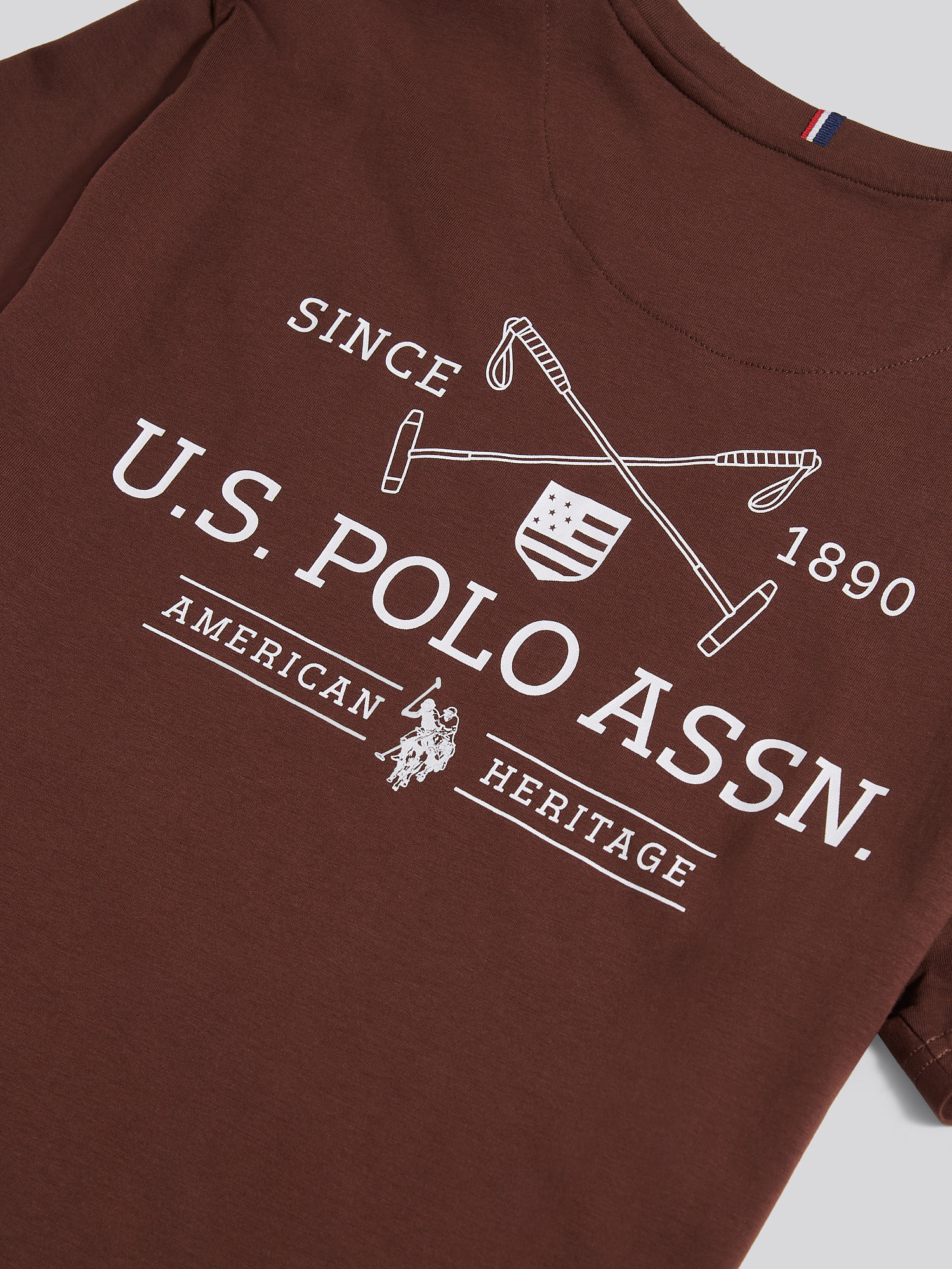 Mens USPA Back Graphic T-Shirt in Chocolate Martini - Image 10