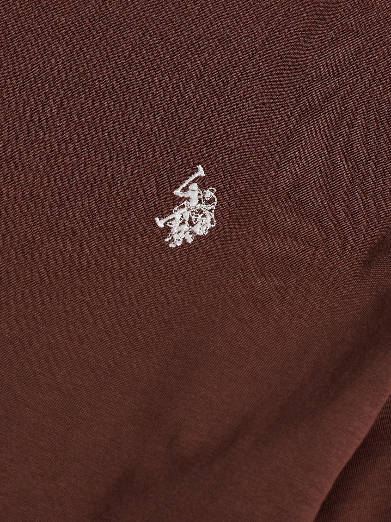 Mens USPA Back Graphic T-Shirt in Chocolate Martini - Image 9