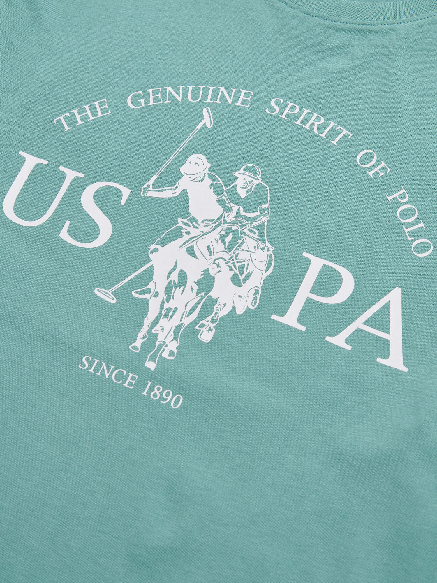 Mens USPA Print Graphic T-Shirt Arctic - Image 7