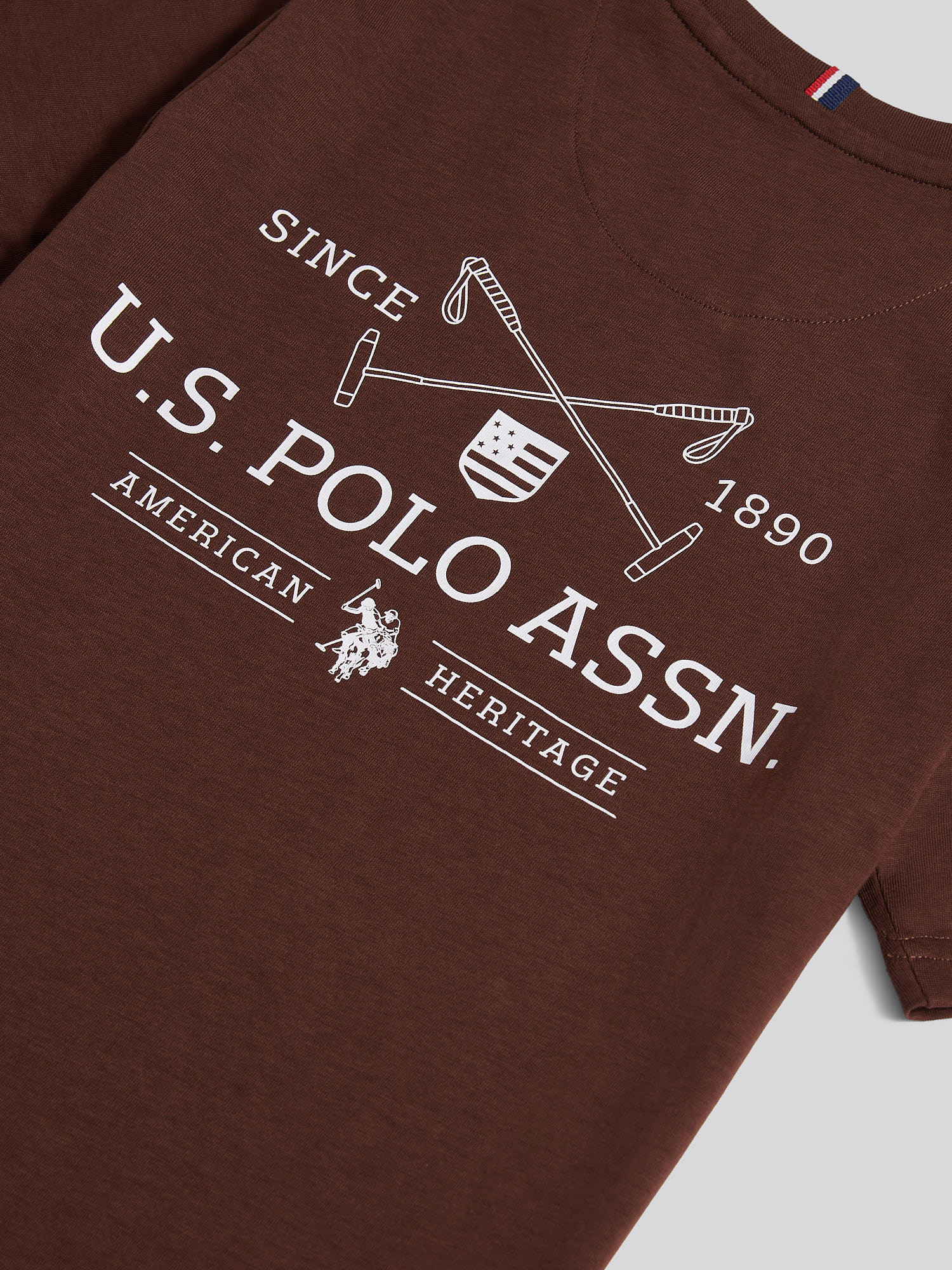 Boys USPA Back Graphic T-Shirt in Chocolate Martini - Image 10