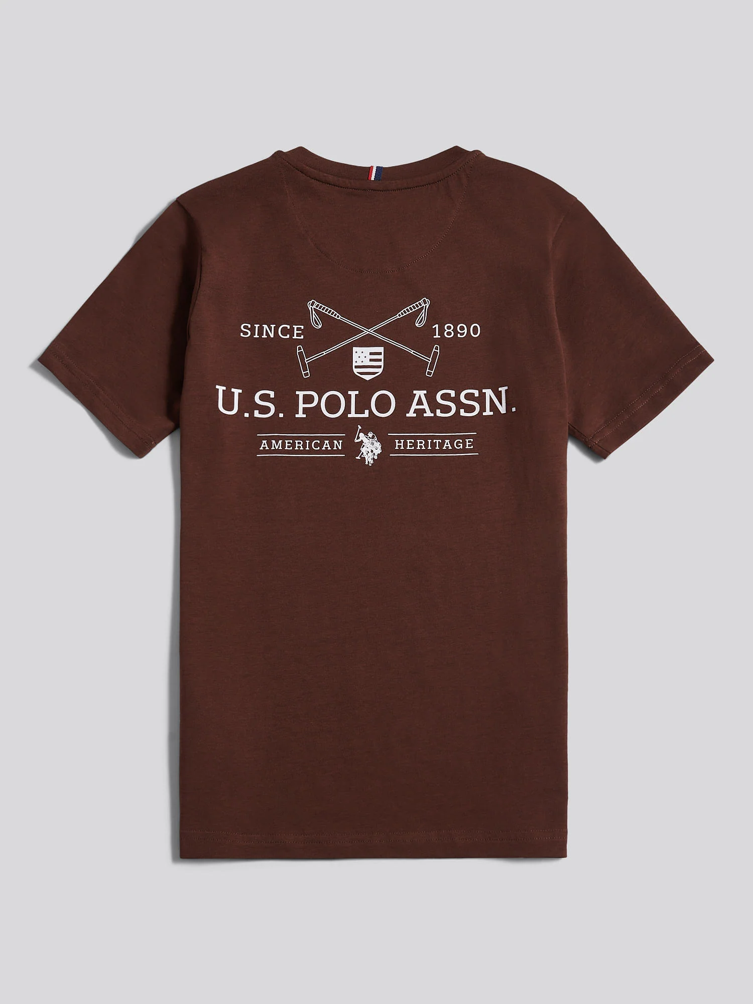 Boys USPA Back Graphic T-Shirt in Chocolate Martini - Image 8